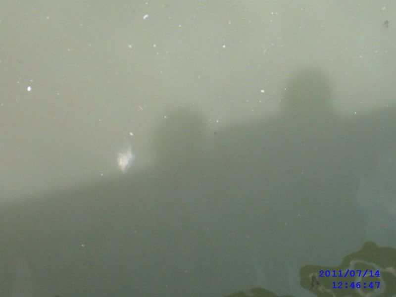 SUNP0084.jpg