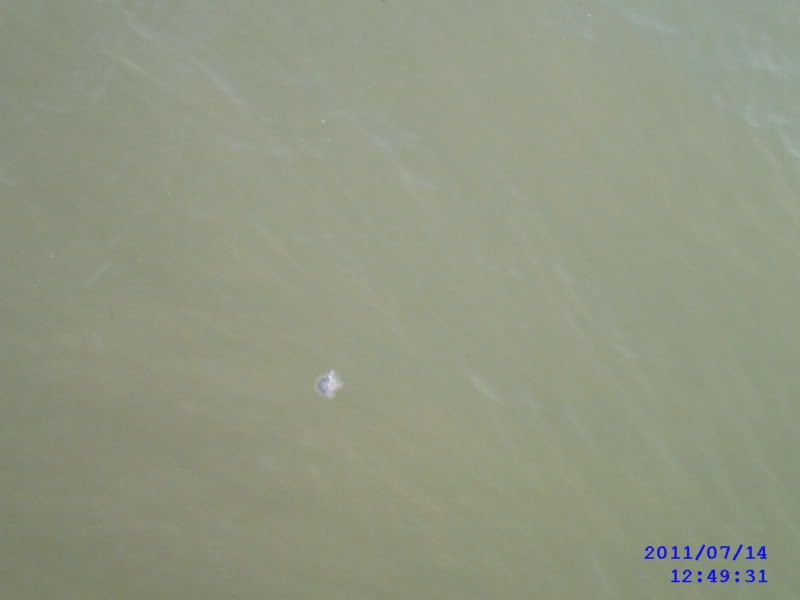 SUNP0085.jpg