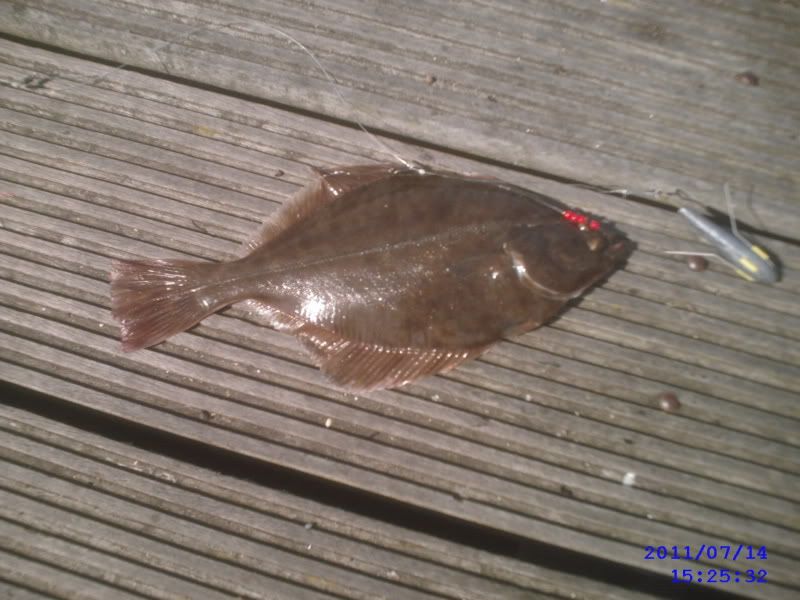 SUNP0091.jpg