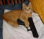 [Image: 3279_Catholdsgun-2.jpg]