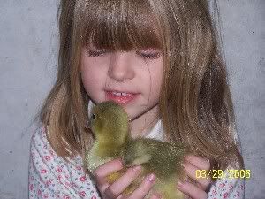 How do you post pictures? - Goats