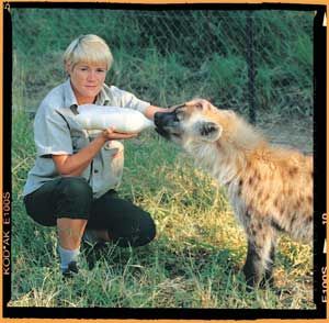 Hyena-Feeding-300px.jpg