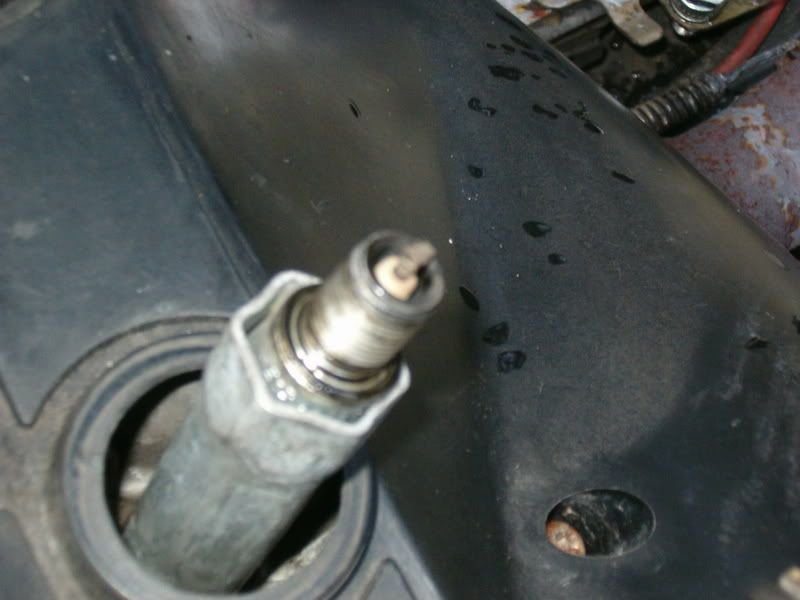 HPIM0911.jpg