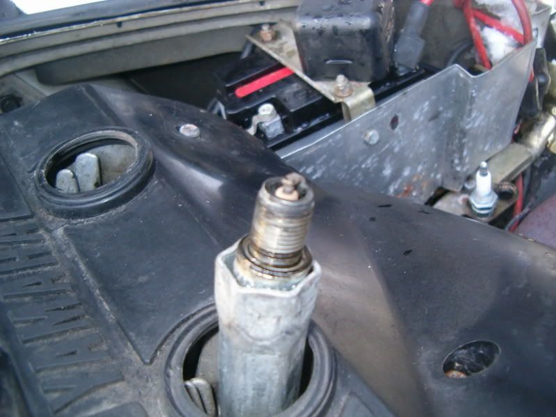HPIM0920.jpg