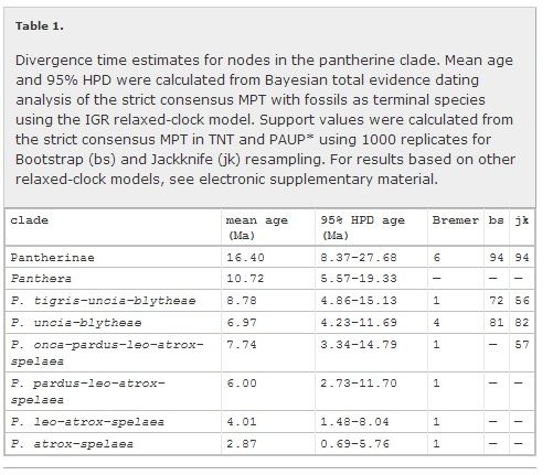 http://i53.photobucket.com/albums/g62/TigerQuoll/Extinct%20felines/PantherineDivergence_zps0afcc298.jpg