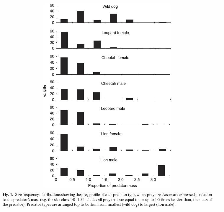 http://i53.photobucket.com/albums/g62/TigerQuoll/african%20wildlife/predatorpreysize2.jpg
