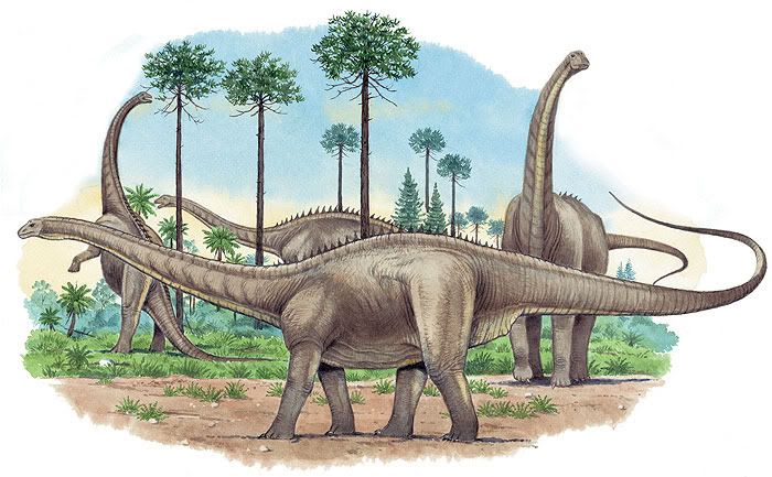 dinosaurios_mas_grandes_apatosaurus