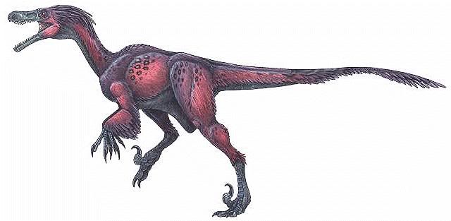 Velociraptormongoliensis.jpg