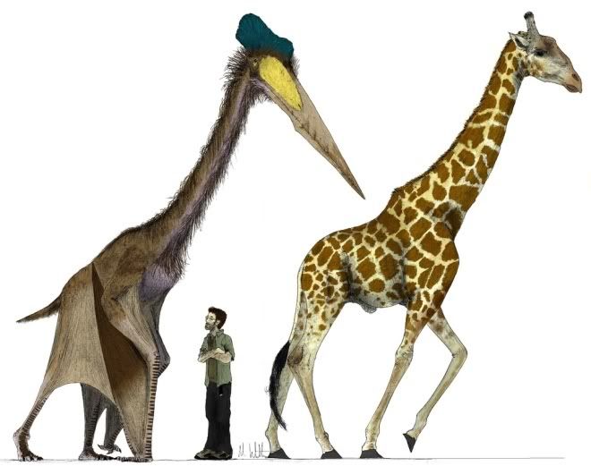 quetzalcoatlus1fw9.jpg