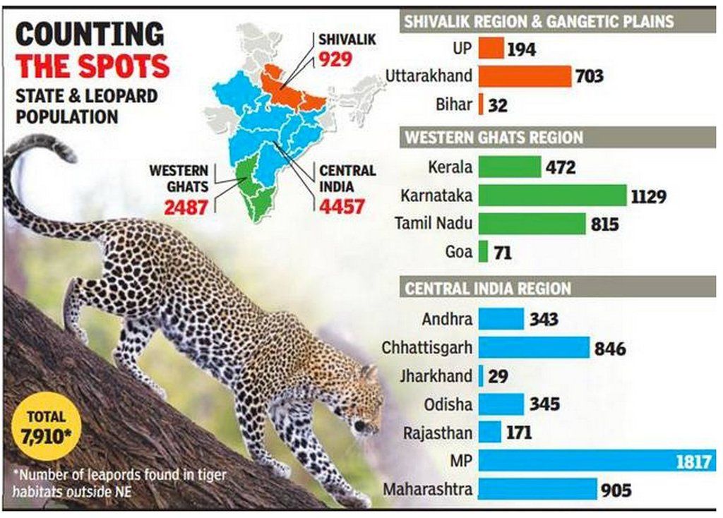 http://i53.photobucket.com/albums/g62/TigerQuoll/leopard/Leopard_India_Population_zpsgzvj7br4.jpg