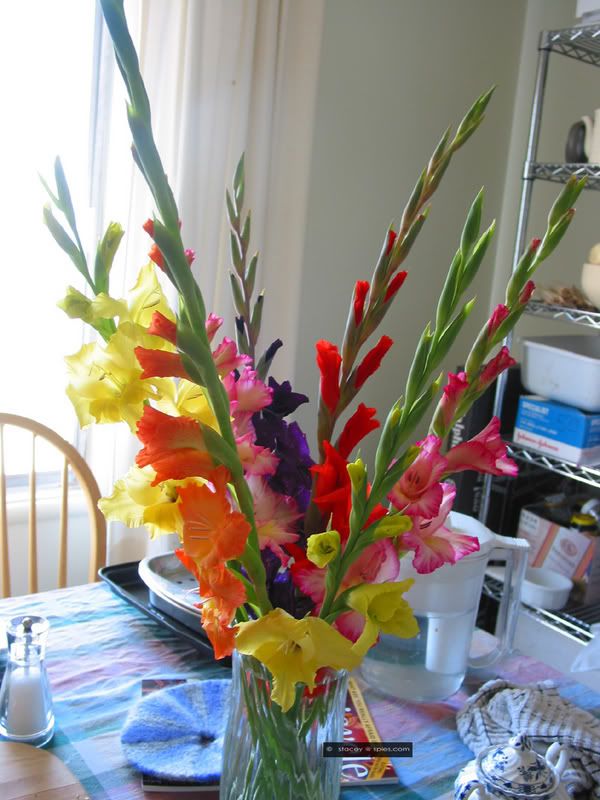 Gladiolas.jpg Gladiolas image by wilsobn