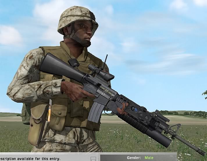 AA-RiflemanwGrenadelauncher.jpg