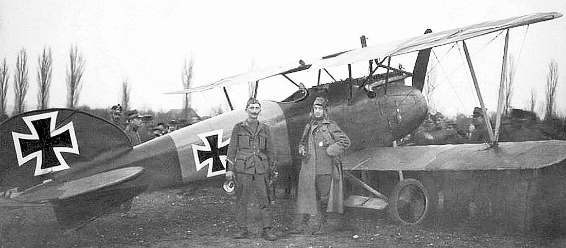 Albatros-ground_zpsd9808ed0.jpg~original