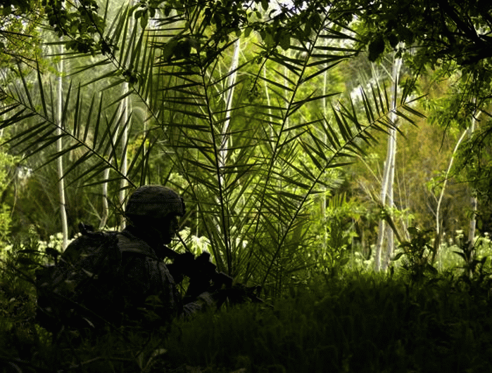 Jungle_soldier.gif