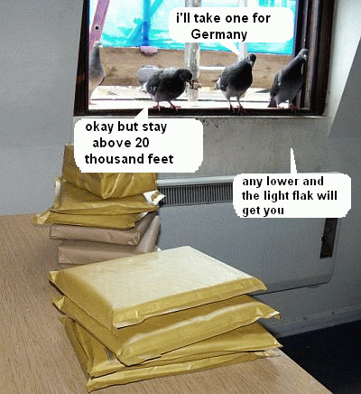 jifs3.gif