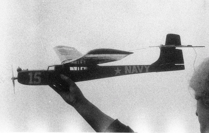 RC-NavyAmphibian1975.gif