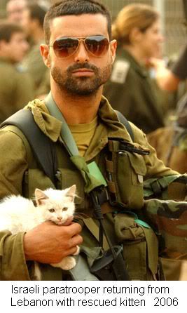 http://i53.photobucket.com/albums/g64/PoorOldSpike/Soldier-white-cat.jpg~original