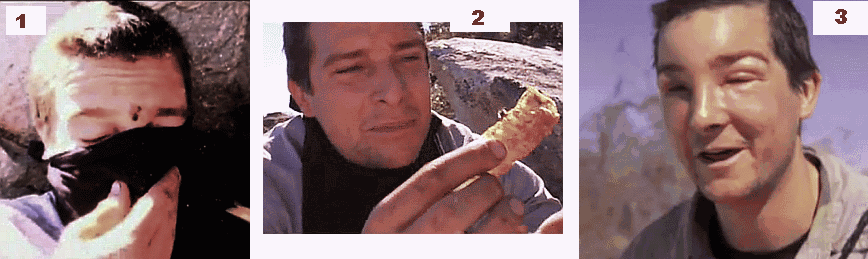 http://i53.photobucket.com/albums/g64/PoorOldSpike/grylls-bee3.gif~original