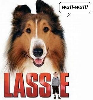 lassie2_zps62dcde9b.jpg~original