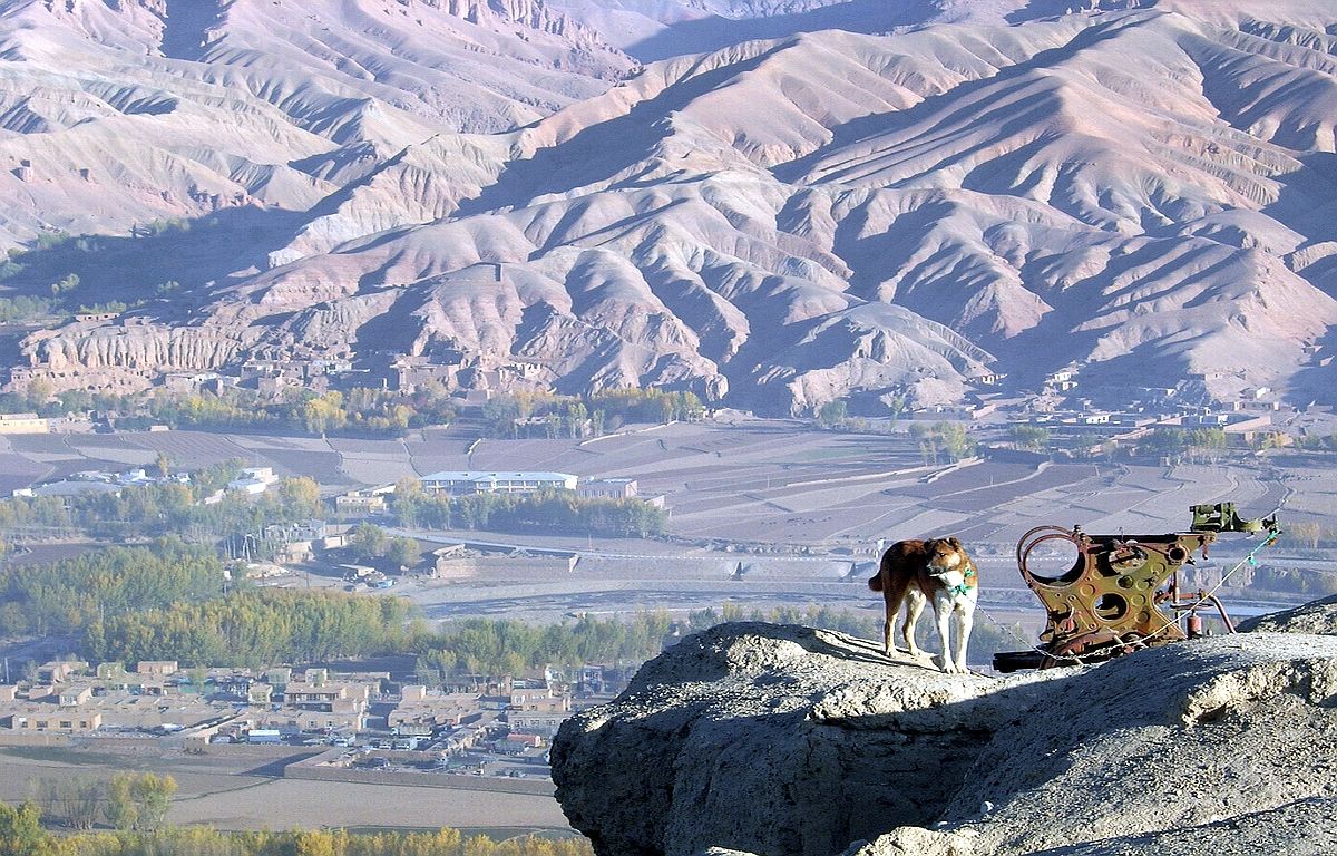BamiyanVallAfghExplosSniffdog2008.jpg
