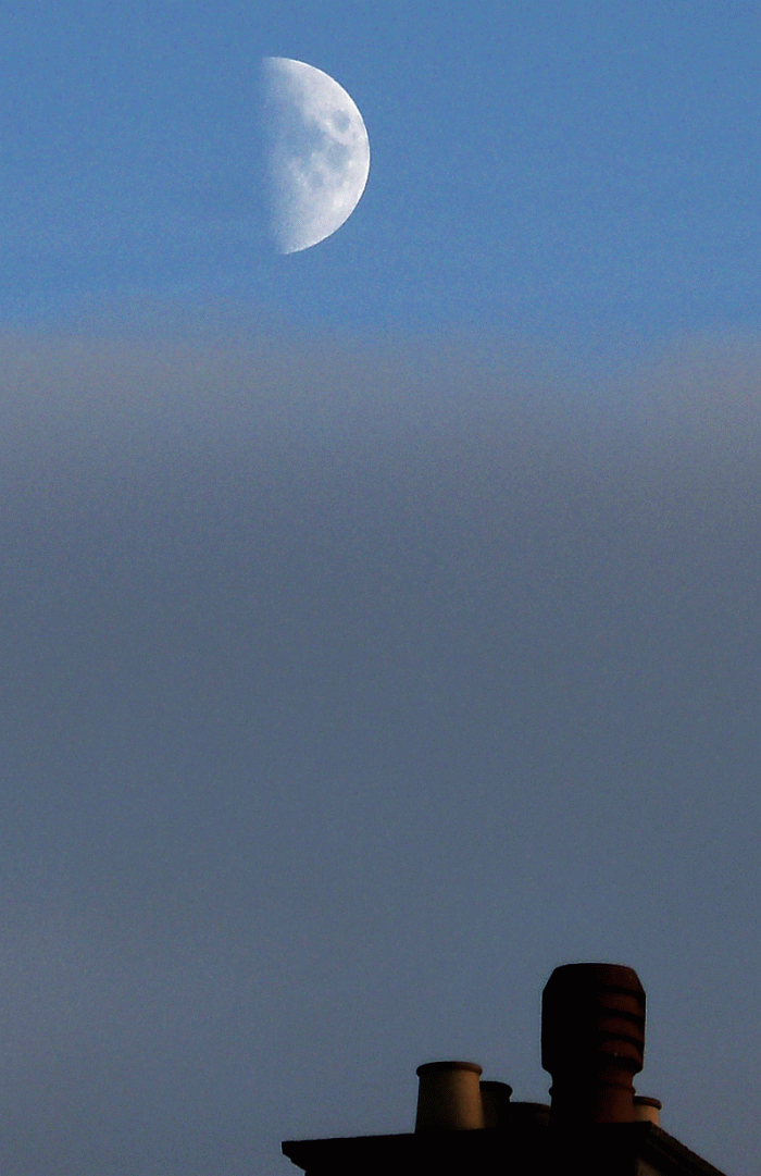 moon-dusk.gif