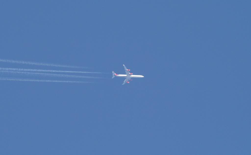 IMAGE: http://i53.photobucket.com/albums/g67/dickydj/IMG_1838.jpg