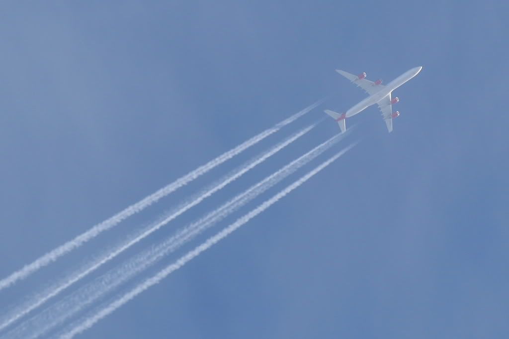 IMAGE: http://i53.photobucket.com/albums/g67/dickydj/IMG_8754.jpg