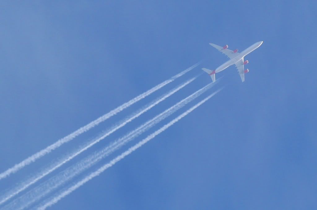 IMAGE: http://i53.photobucket.com/albums/g67/dickydj/IMG_8754copy.jpg