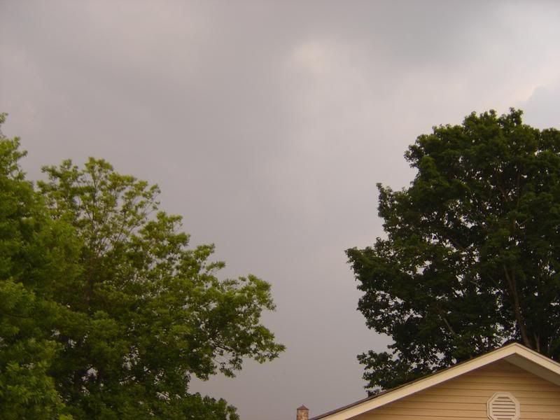 DSC00623.jpg