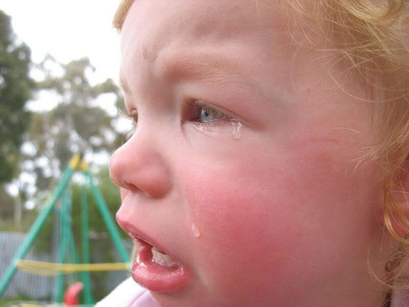 IMAGE: http://i53.photobucket.com/albums/g68/shutterbugsovu/IMG_7353aa.jpg