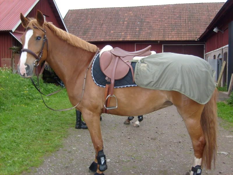 1juni046.jpg