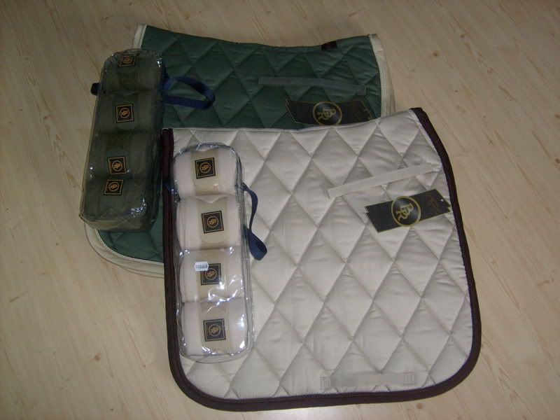 gbghorseshow08032.jpg