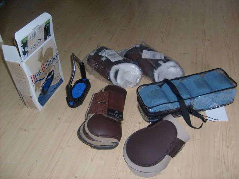 gbghorseshow08033.jpg
