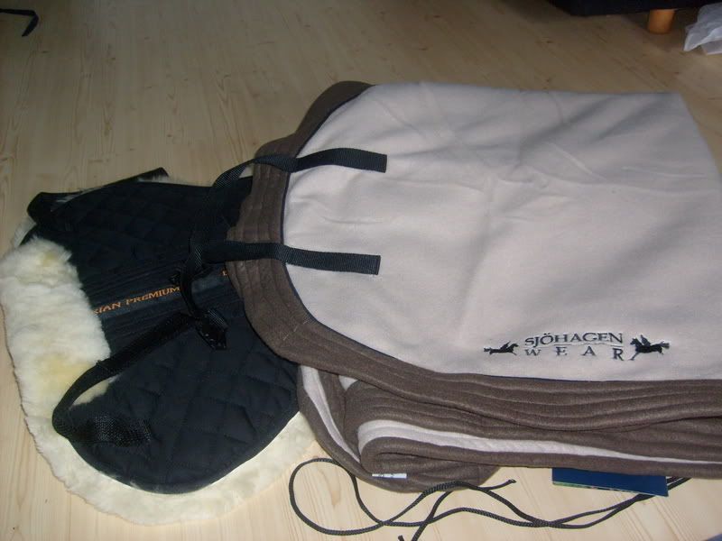 gbghorseshow08034.jpg