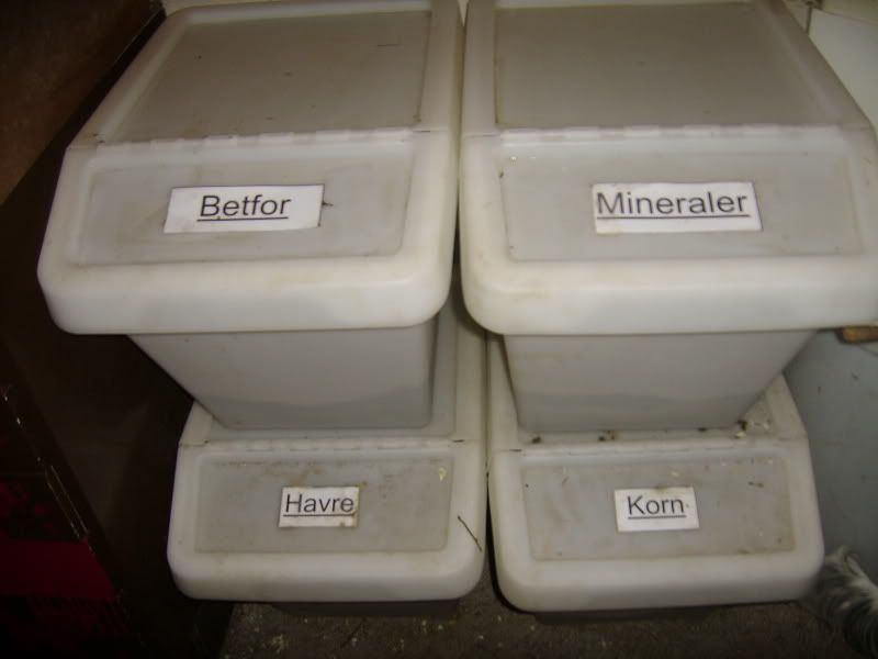 hagarochstall061.jpg