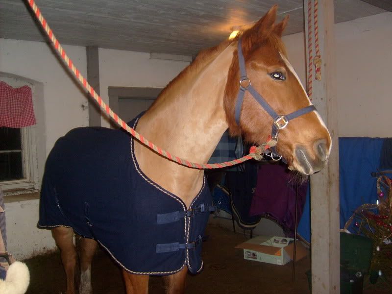julafton2007011.jpg