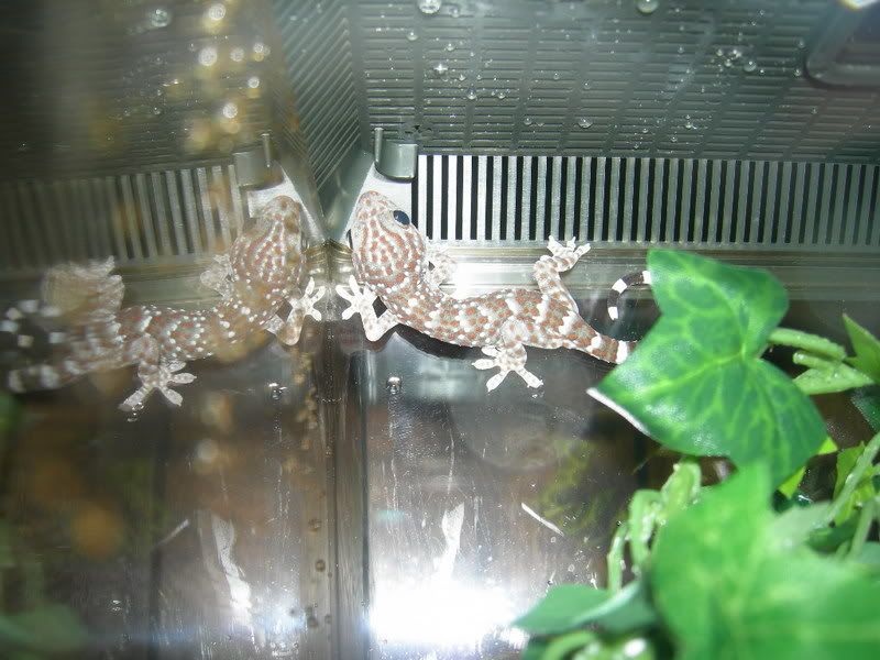 DSCN3240.jpg