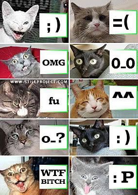CAT EMO