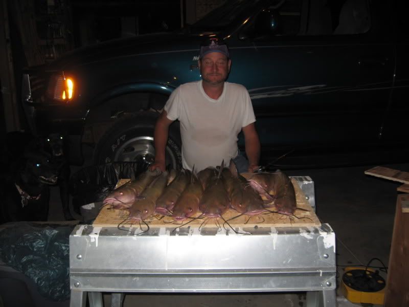 catfish_09_09002.jpg