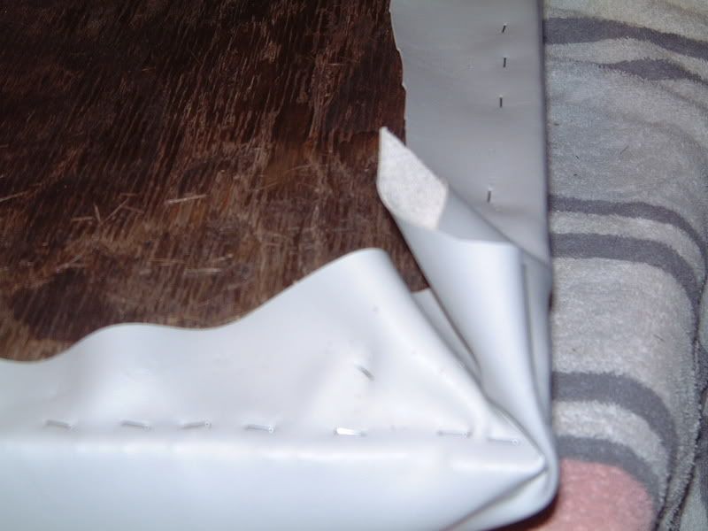 DSCF0005.jpg