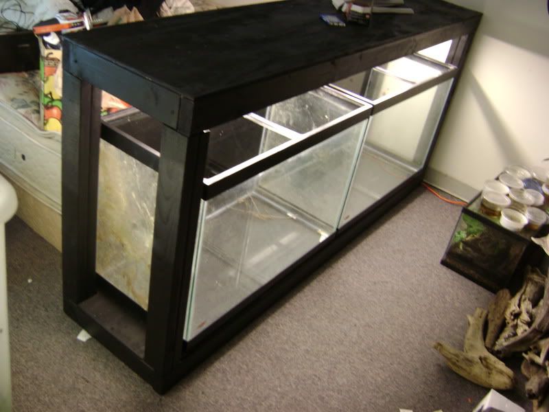 Aquarium Rack Ideas Dendroboard