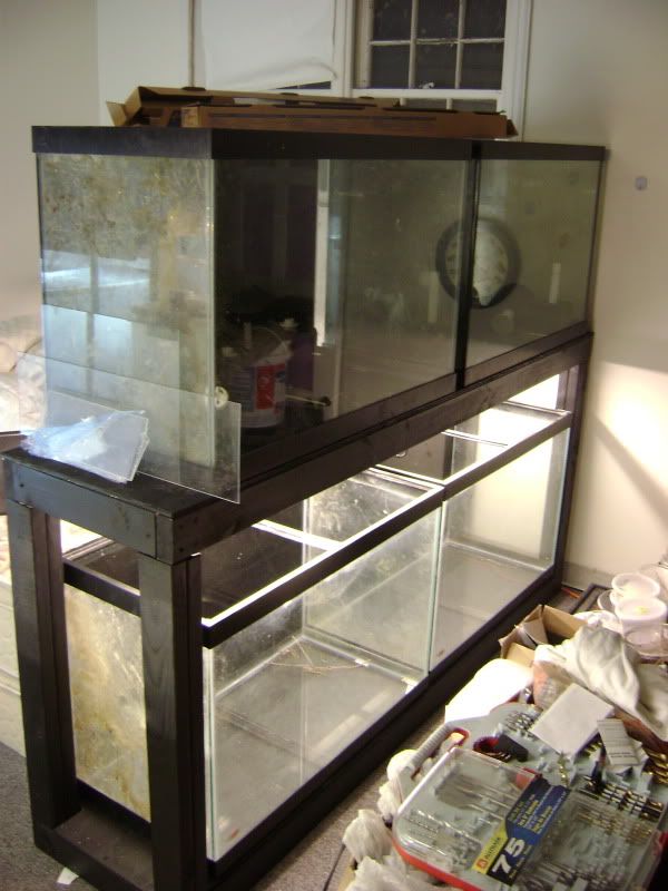 Aquarium Rack Ideas Dendroboard