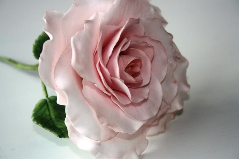 http://i53.photobucket.com/albums/g73/wolliew/taarten/IMG_7964_zps35842e42.jpg