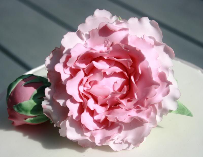 http://i53.photobucket.com/albums/g73/wolliew/taarten/IMG_8404_zps1dd33a0c.jpg
