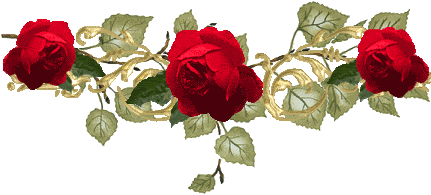 Red Rose Divider Pictures, Images and Photos