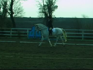 DressageMic029001_00011.jpg