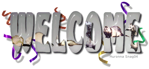 ferret20welcome.gif