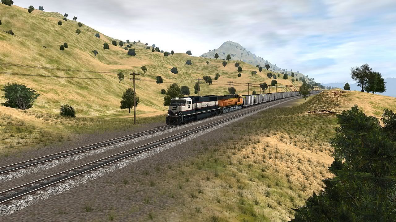 8b8d794e.jpg