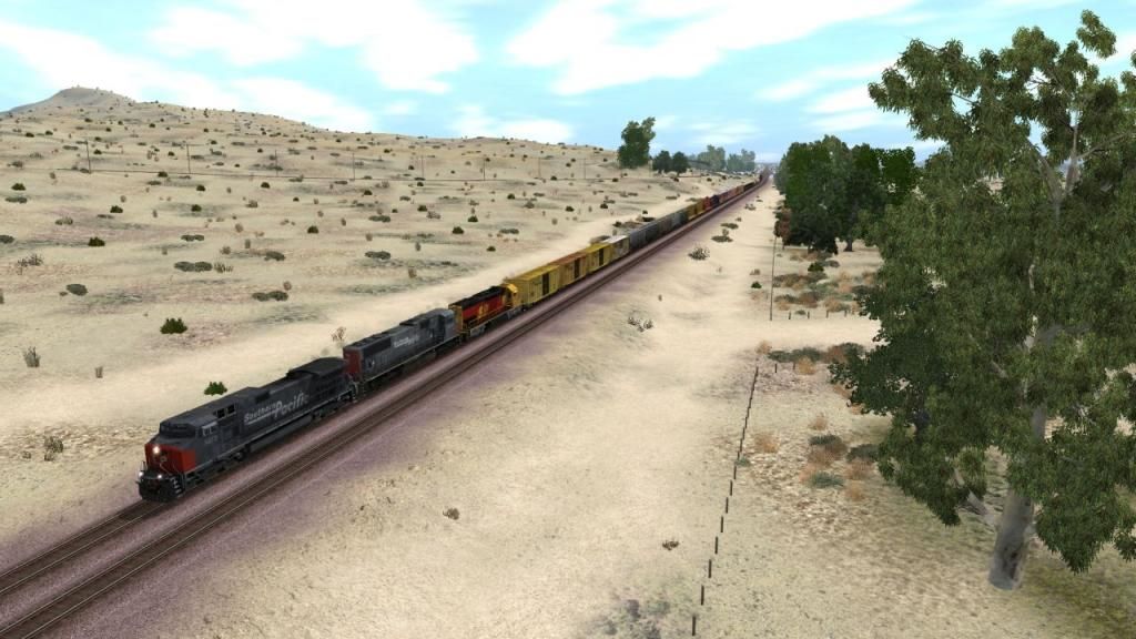 socalwb909_20121112_0011.jpg