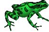 pixelfrogies-1.gif a green frog for my website. image by Amy_Weaving pixelfrogies-1.gif a green frog for my website. image by Amy_Weaving